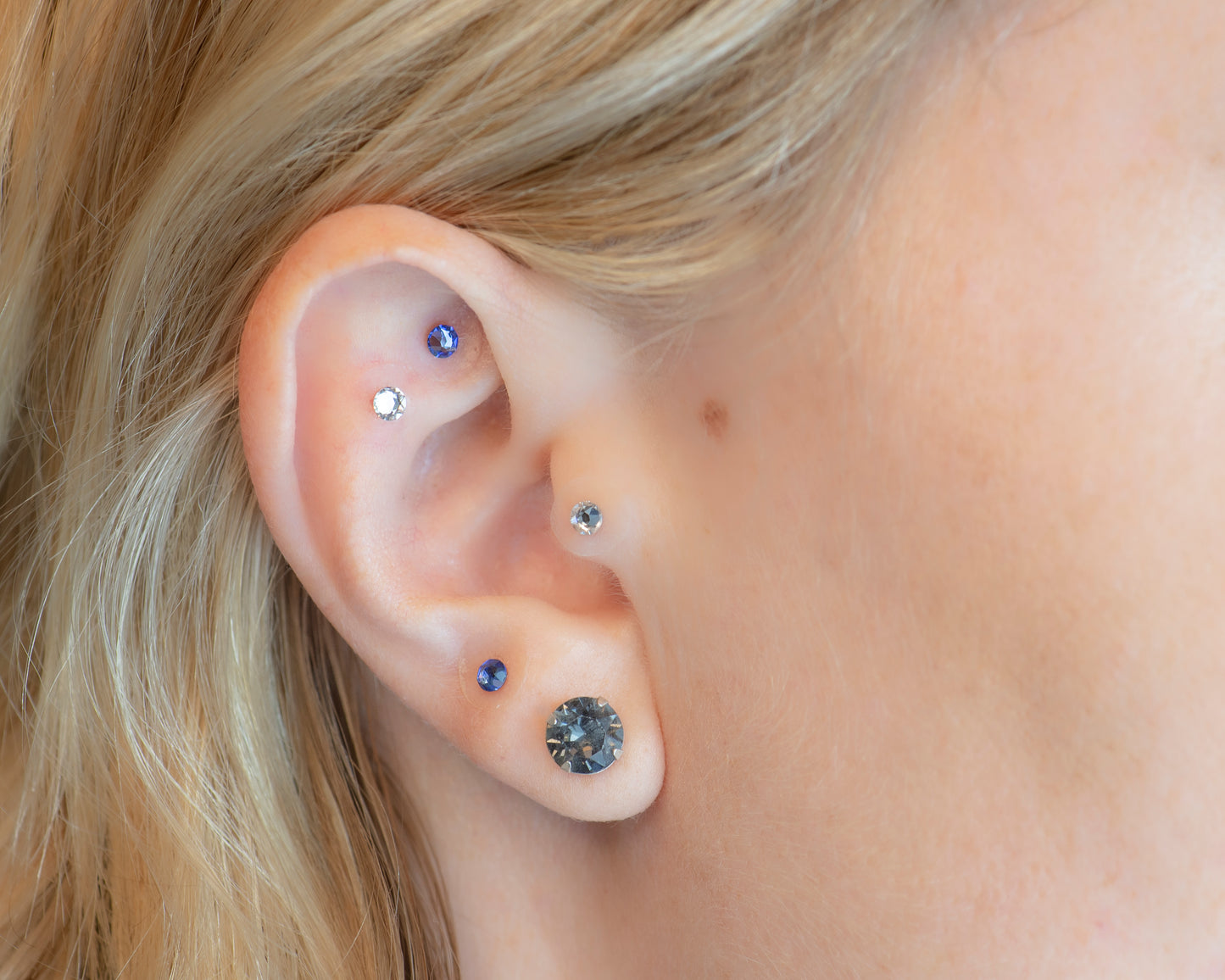 The Complete Luxe Ear Seed Set